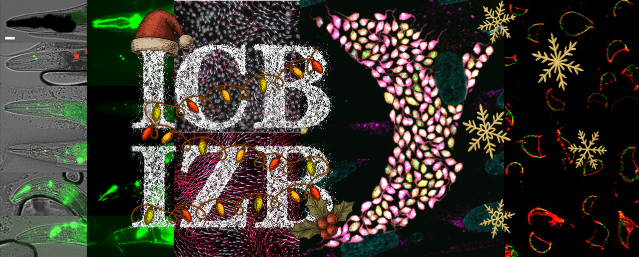 Titelbild: Institut für Zellbiologie