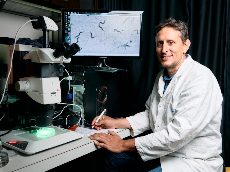 Unraveling the mystery of packaged genetic material